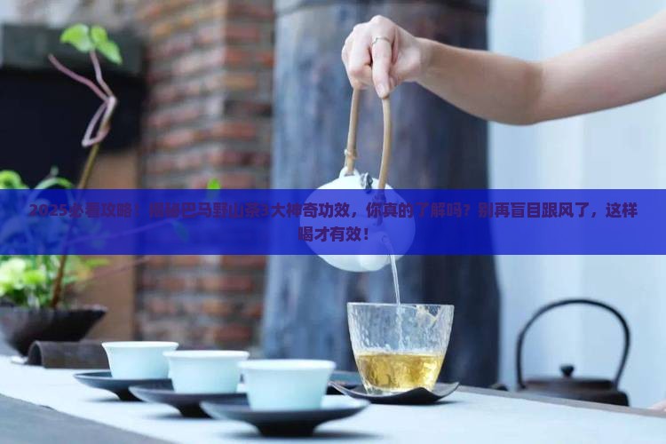 巴马野山茶的功效与禁忌