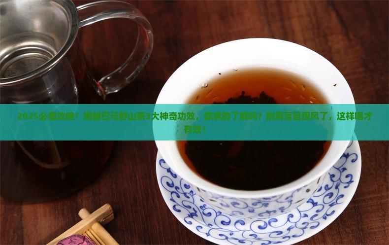 巴马野山茶的功效与禁忌