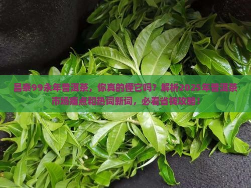 昌泰99永年普洱茶