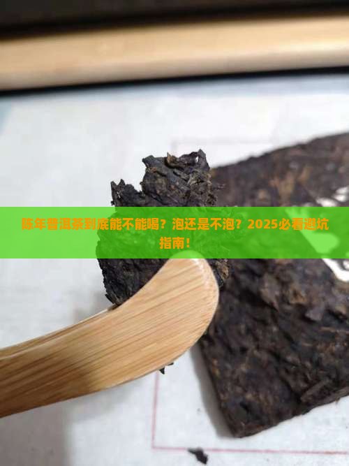 陈年普洱茶是否要泡茶喝