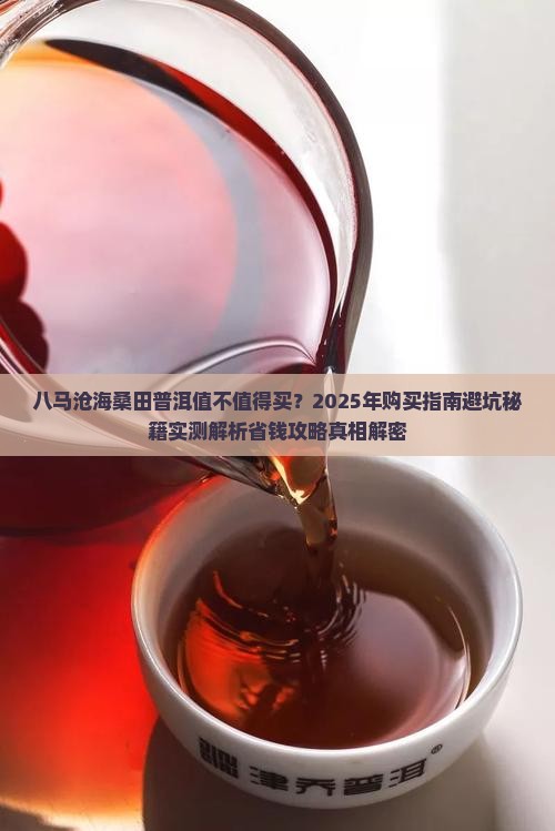 八马沧海桑田普洱