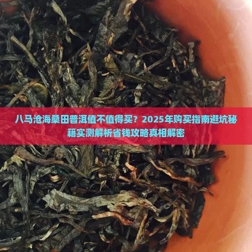 八马沧海桑田普洱