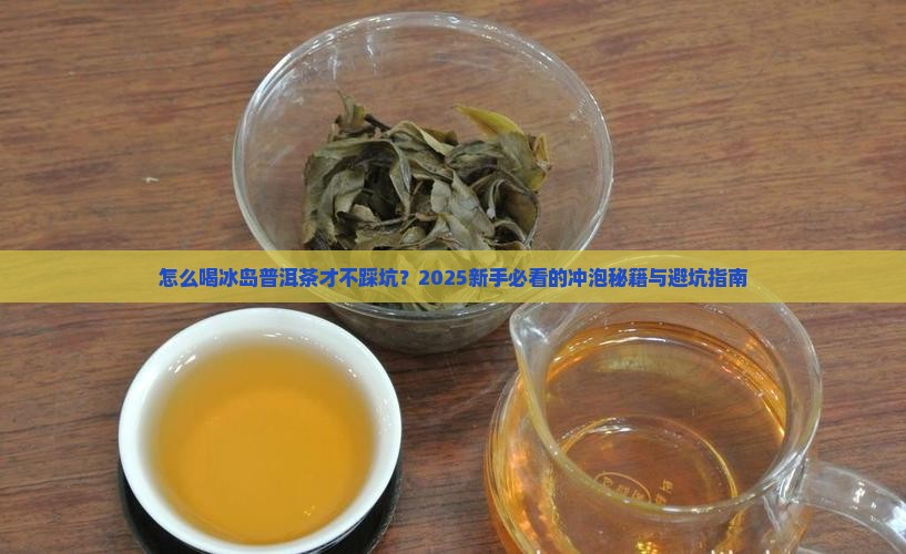 怎么喝冰岛普洱茶