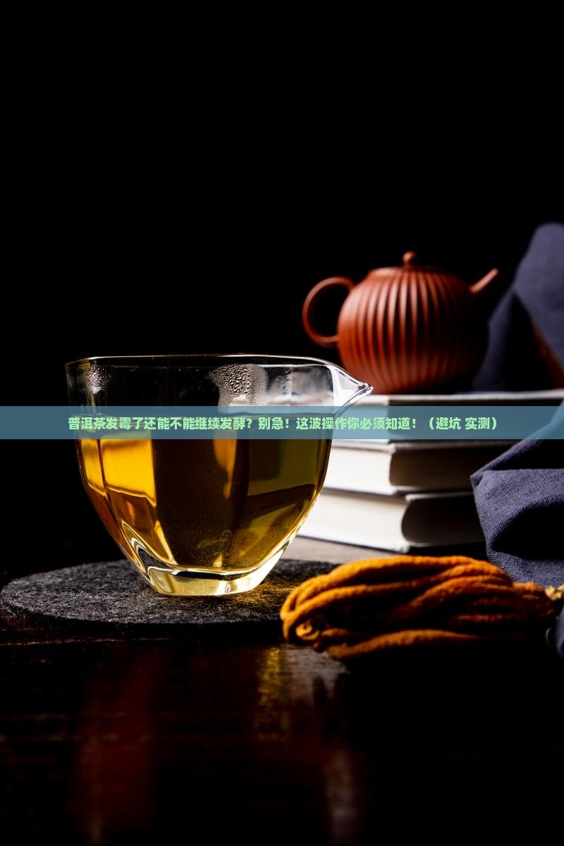 普洱茶发霉可以继续发酵吗
