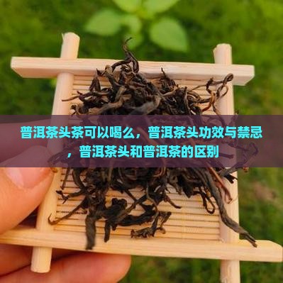 普洱茶头茶可以喝么