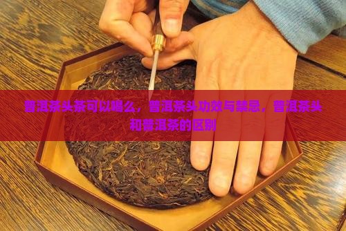 普洱茶头茶可以喝么