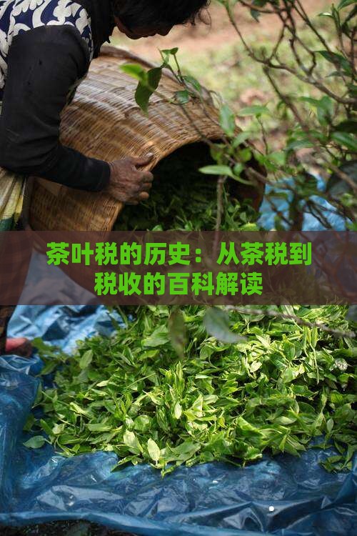 茶叶税是什么时候开始的