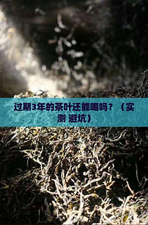 过期了的茶叶还能喝吗