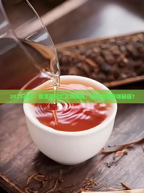 纪录片普洱茶记忆