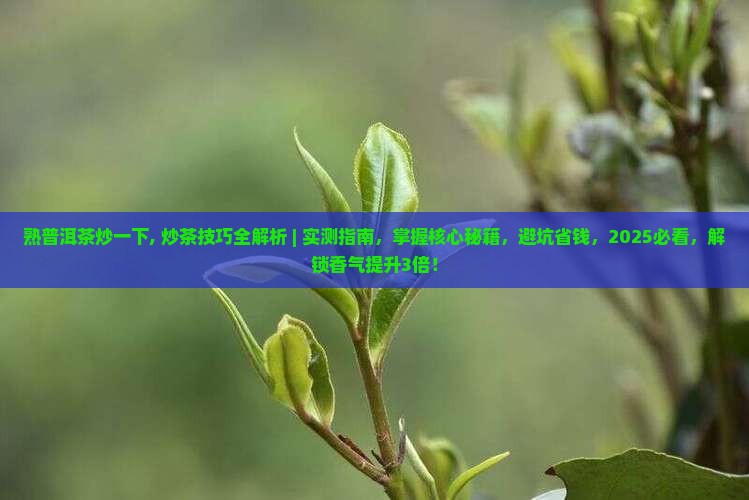 熟普洱茶炒一下