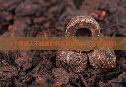普洱茶怎么养才能长花苞