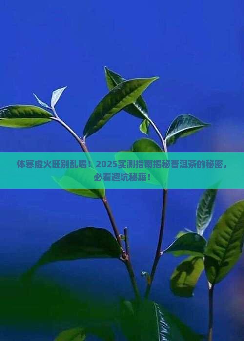 体寒虚火旺可以喝普洱茶吗