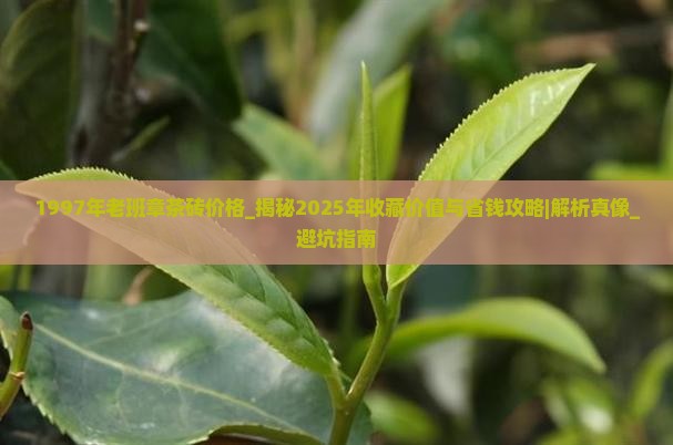1997年老班章茶砖价格