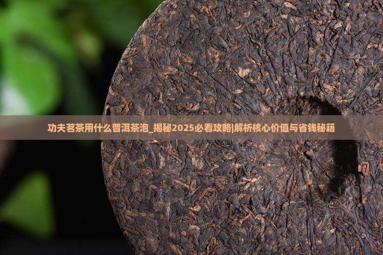 功夫茗茶用什么普洱茶泡