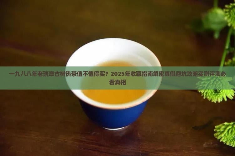 一九八八年老班章古树热茶