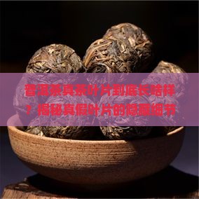 普洱茶真茶叶片的特点包括