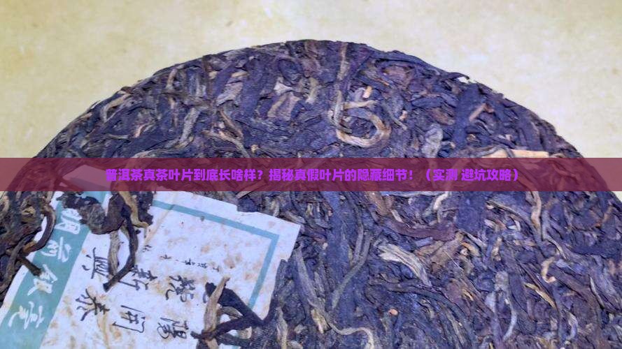 普洱茶真茶叶片的特点包括