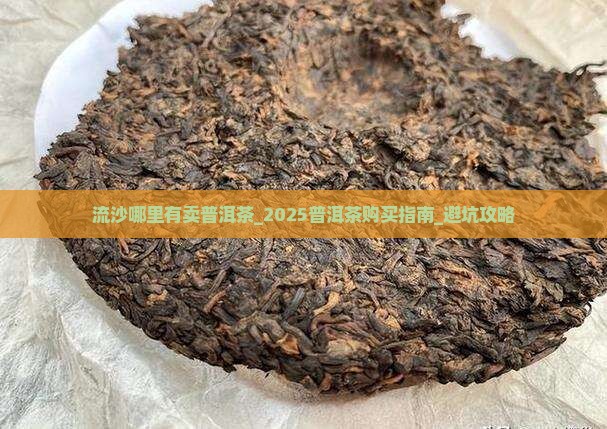 流沙哪里有卖普洱茶