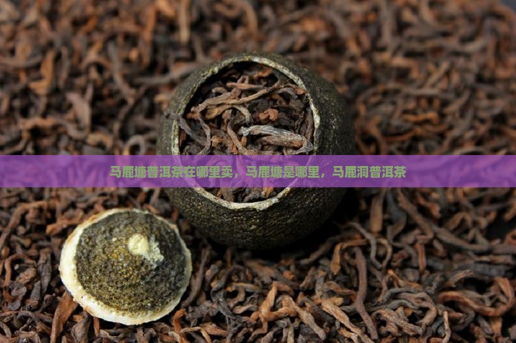 马鹿塘普洱茶在哪里卖