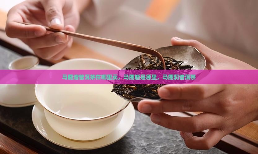马鹿塘普洱茶在哪里卖