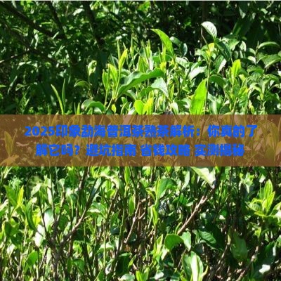 印象勐海普洱茶熟茶