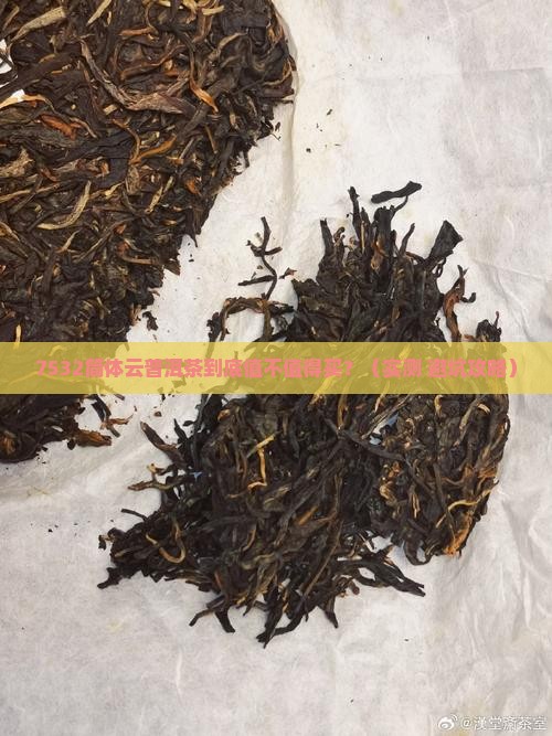 7532简体云普洱茶