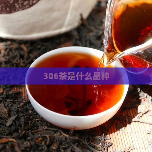 306茶是什么品种