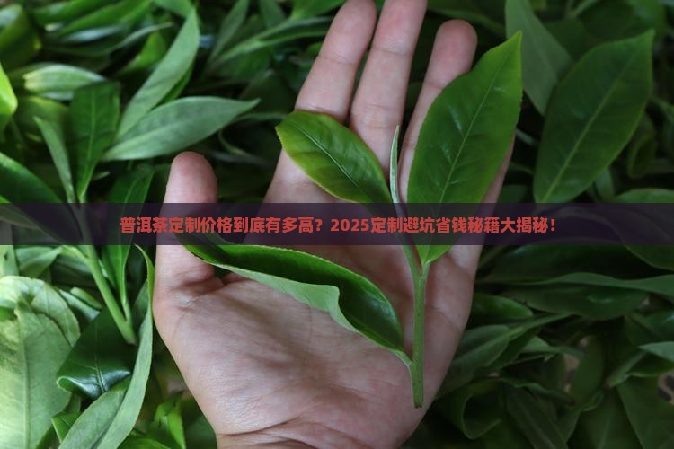 普洱茶定制价格
