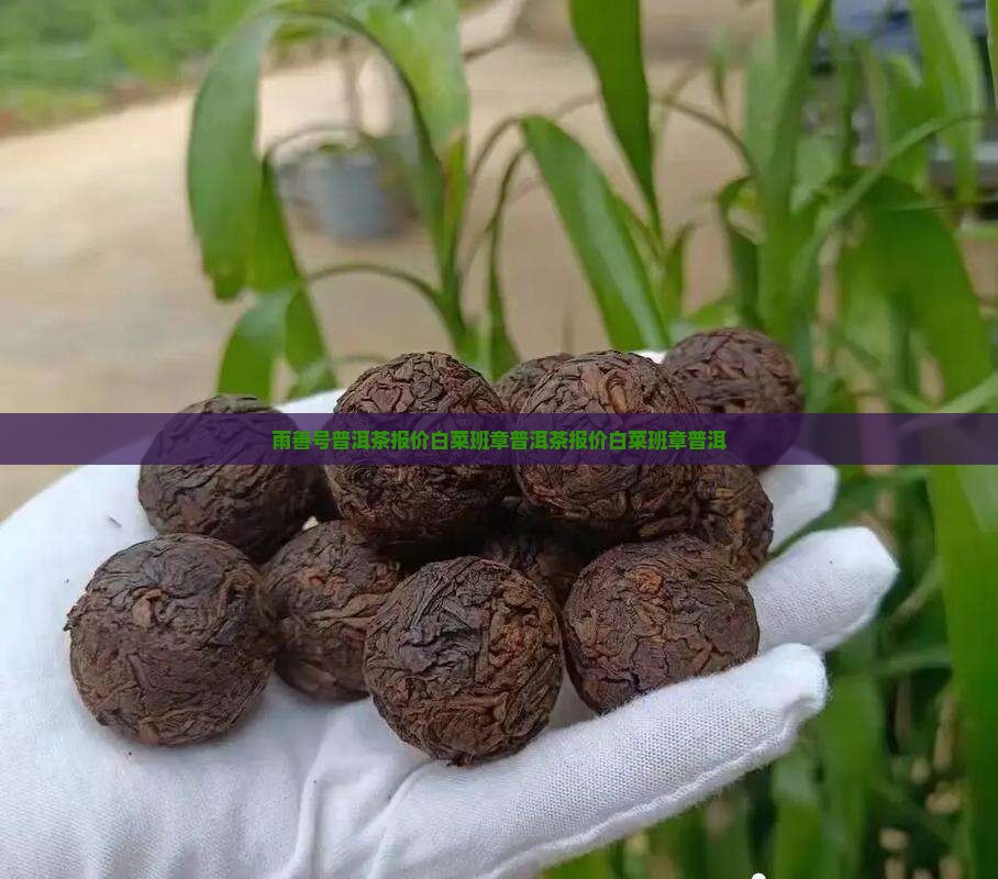雨善号普洱茶报价白菜班章普洱