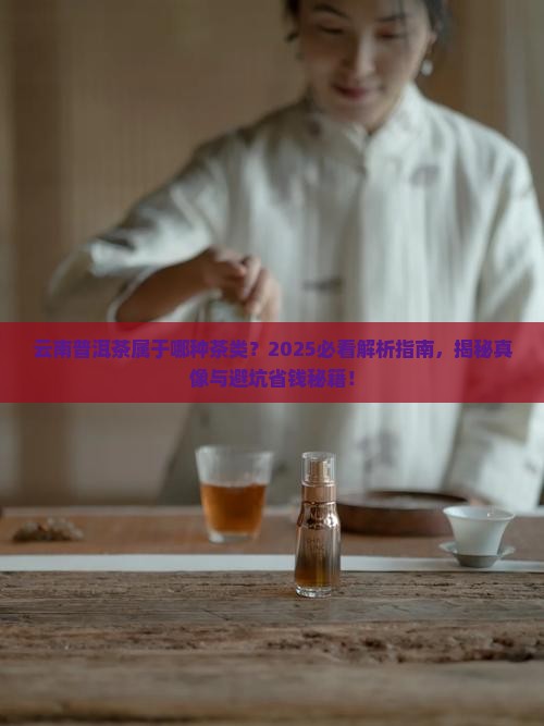 云南普洱茶属于哪种茶类