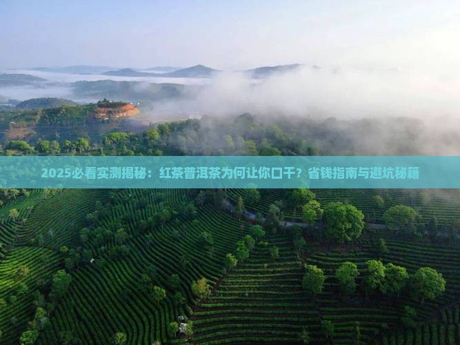 红茶普洱茶喝了口干