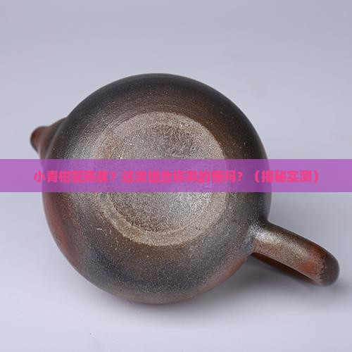 普洱茶小青柑新会陈皮柑