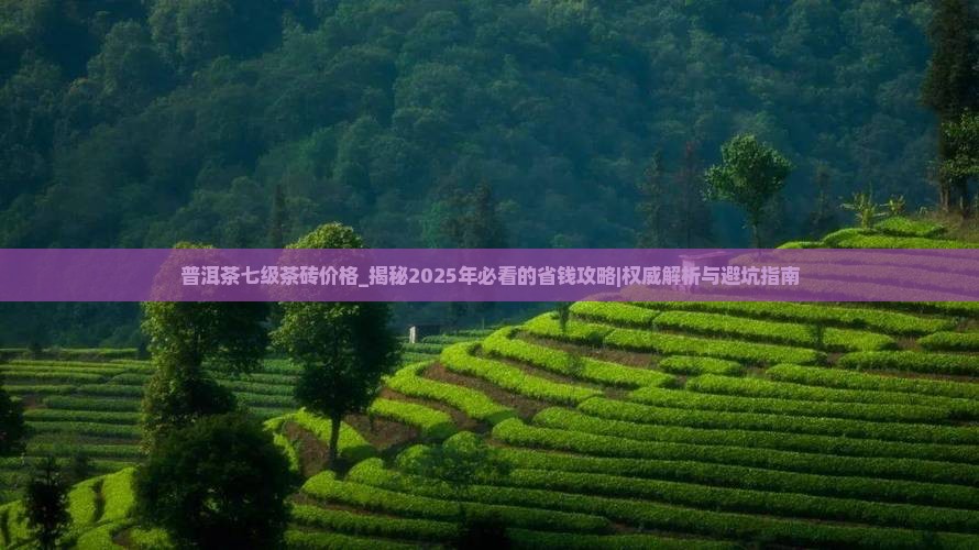 普洱茶七级茶砖价格