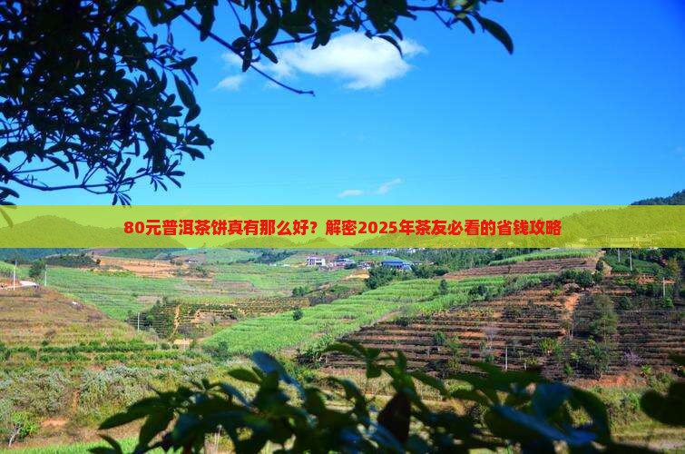 80元普洱茶饼算好茶