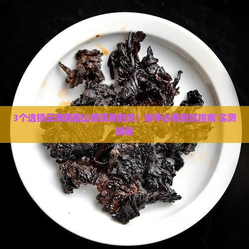 云南磨盘山普洱茶网店