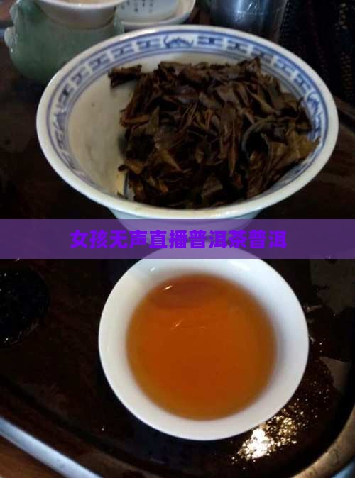 普洱茶女孩无声直播