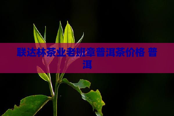 联达林茶业羊老班章