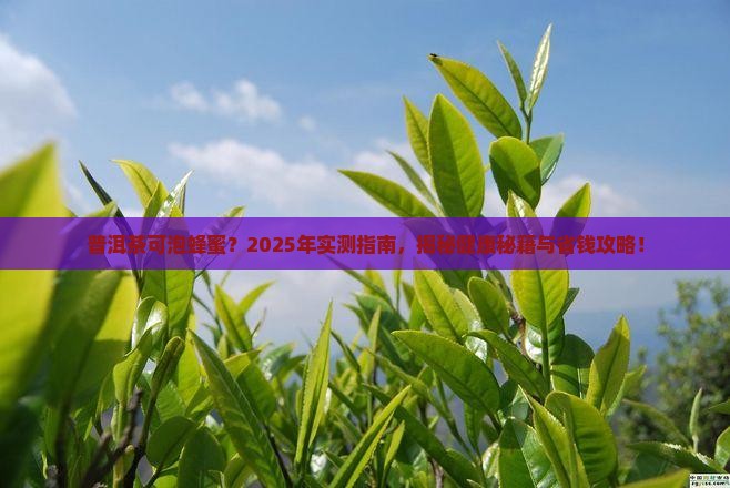 普洱茶可泡蜂蜜