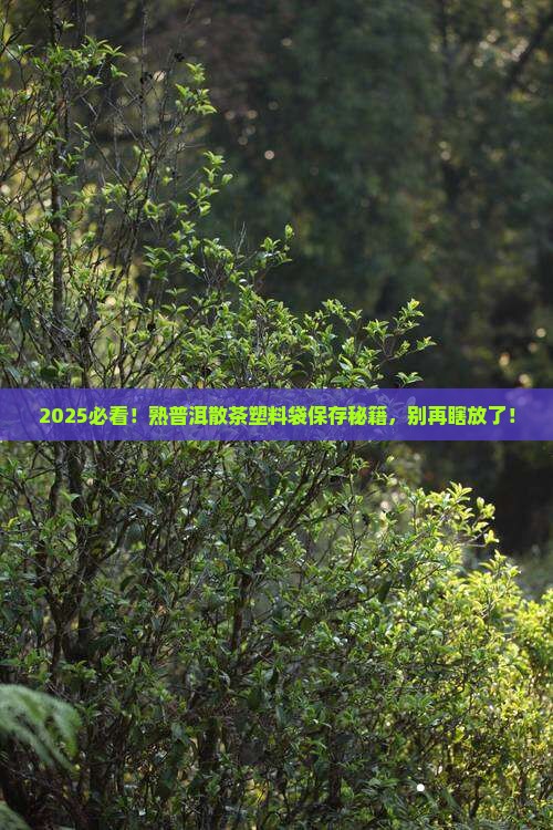 普洱茶熟茶散茶塑料袋能放多久