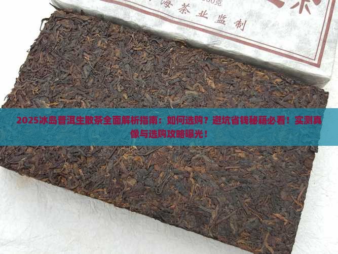 冰岛普洱生散茶