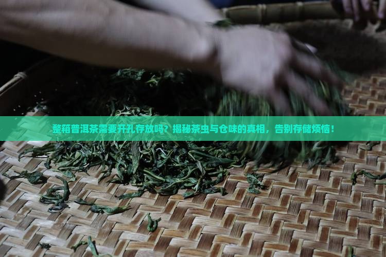 整箱普洱茶需要开孔存放吗