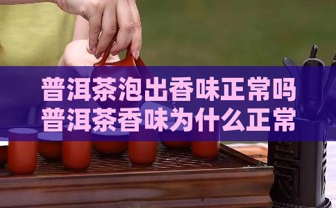 普洱茶泡出香味正常吗为什么
