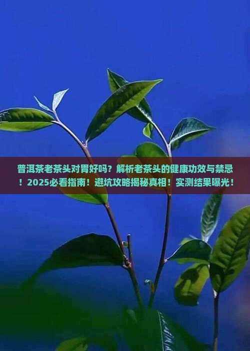 普洱茶老茶头对胃好吗