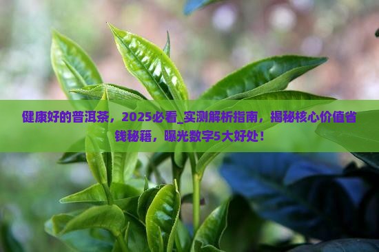 健康好的普洱茶