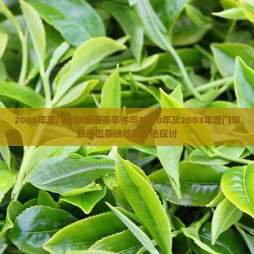2005年澳门华联普洱茶