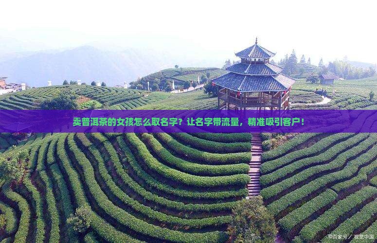 卖普洱茶的女孩怎么取名字
