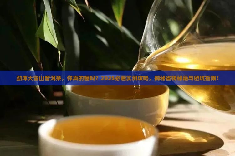 勐库大雪山普洱茶的知识