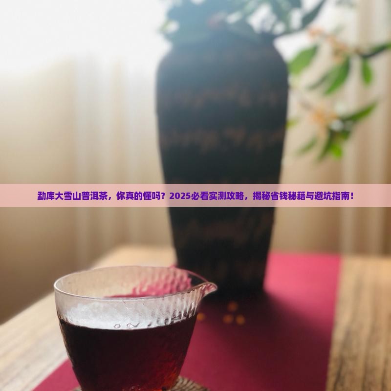 勐库大雪山普洱茶的知识