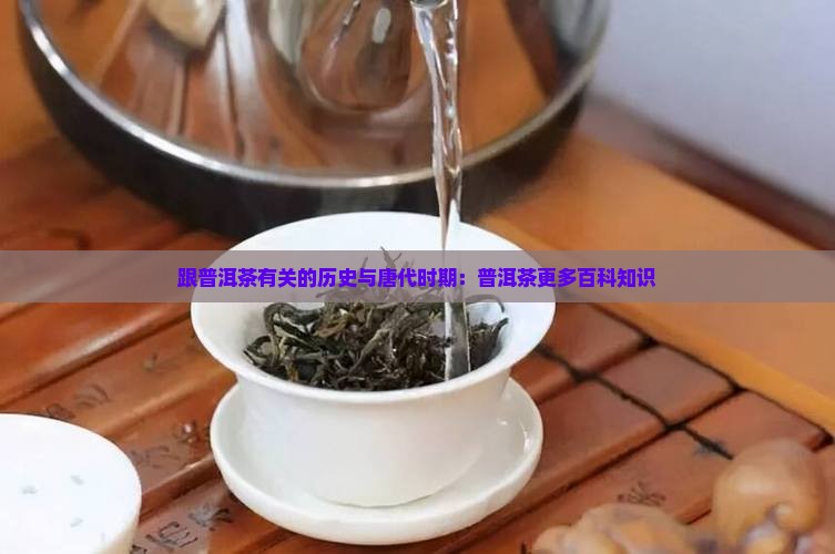 跟普洱茶有关的