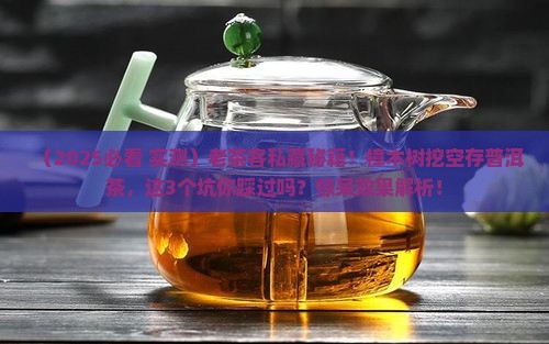 樟木树挖空存放普洱茶